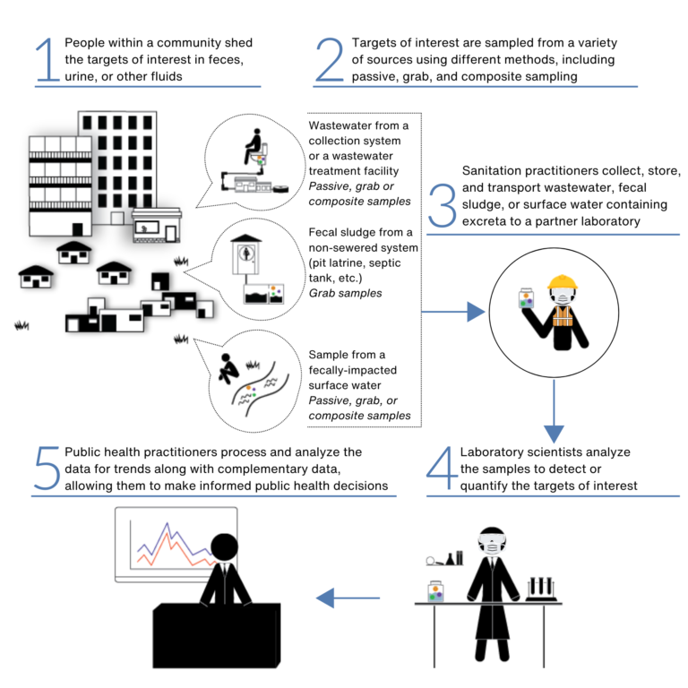 Images and text describing the wastewater and environmental surveillance (WES) process. An image of an urban setting with formal and informal housing shows the 3 types of samples that could be collected as part of a WES program - wastewater, fecal sludge from non-sewered sanitation, and surface water that has been contaminated by feces. An image of a person wearing personal protective equipment (safety vest, goggles, mask, hardhat) holds a jar with enlarged images of microorganisms, representing the WES sample. An image of a person wearing a lab coat, goggles, and mask stands behind a laboratory bench with the WES sample and beakers on it. An image of a person behind a desk with a screen showing line graphs representing the analysis of the data for trends.